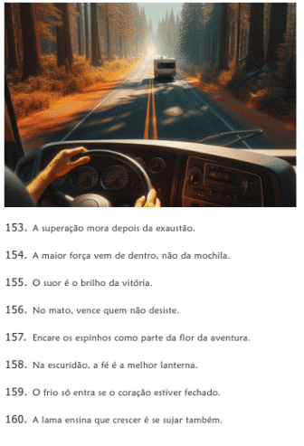 365 Motivos para você acampar e ser feliz!