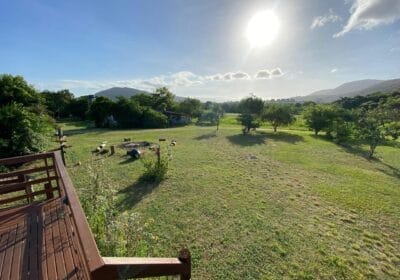 WhatsApp-Image-2025-08-29-at-09.39.11-1-1