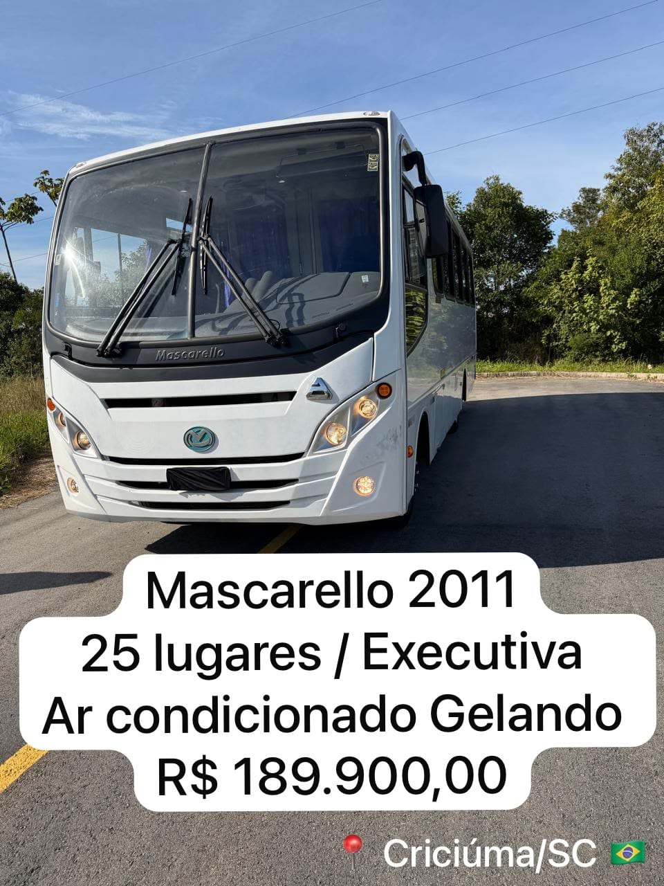 Mascarello 2011 EXECUTIVA